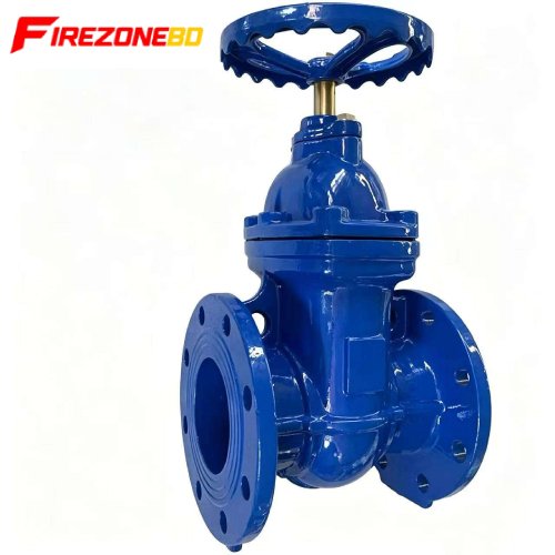 Gate Valve 100mm Dia
