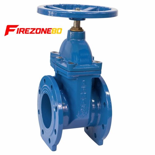 Gate Valve 50 mm Dia
