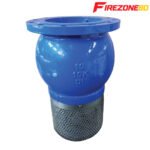 Foot Valve/ Bottom Valve